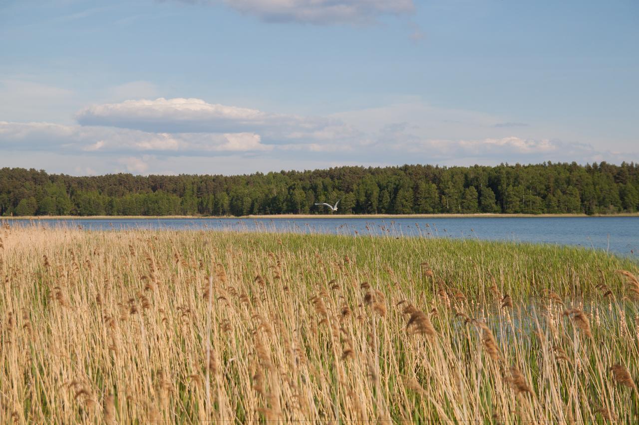 Duck Lake Villa Polotsk Eksteriør billede